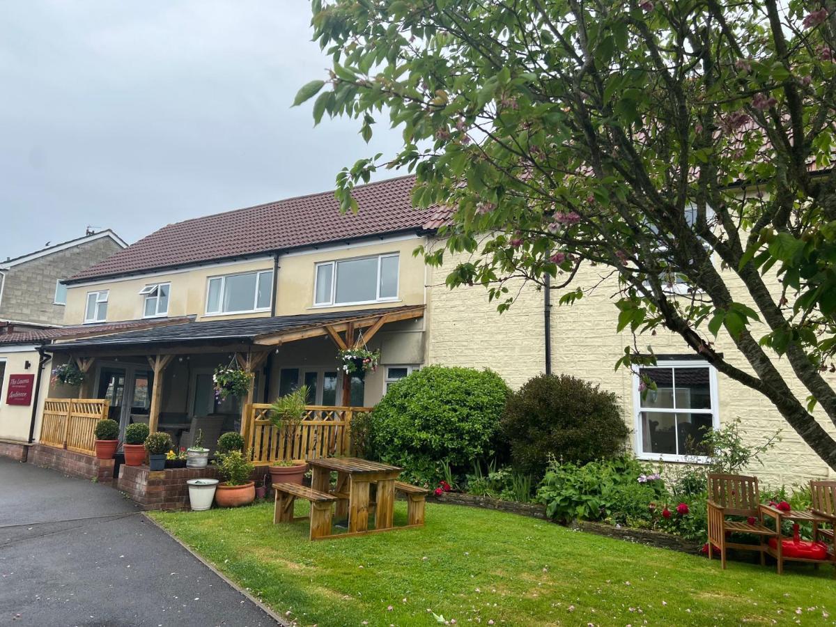 เดอะ ลอว์น ที รูม แอนด์ บีแอนด์บี Bed & Breakfast Ashcott ภายนอก รูปภาพ